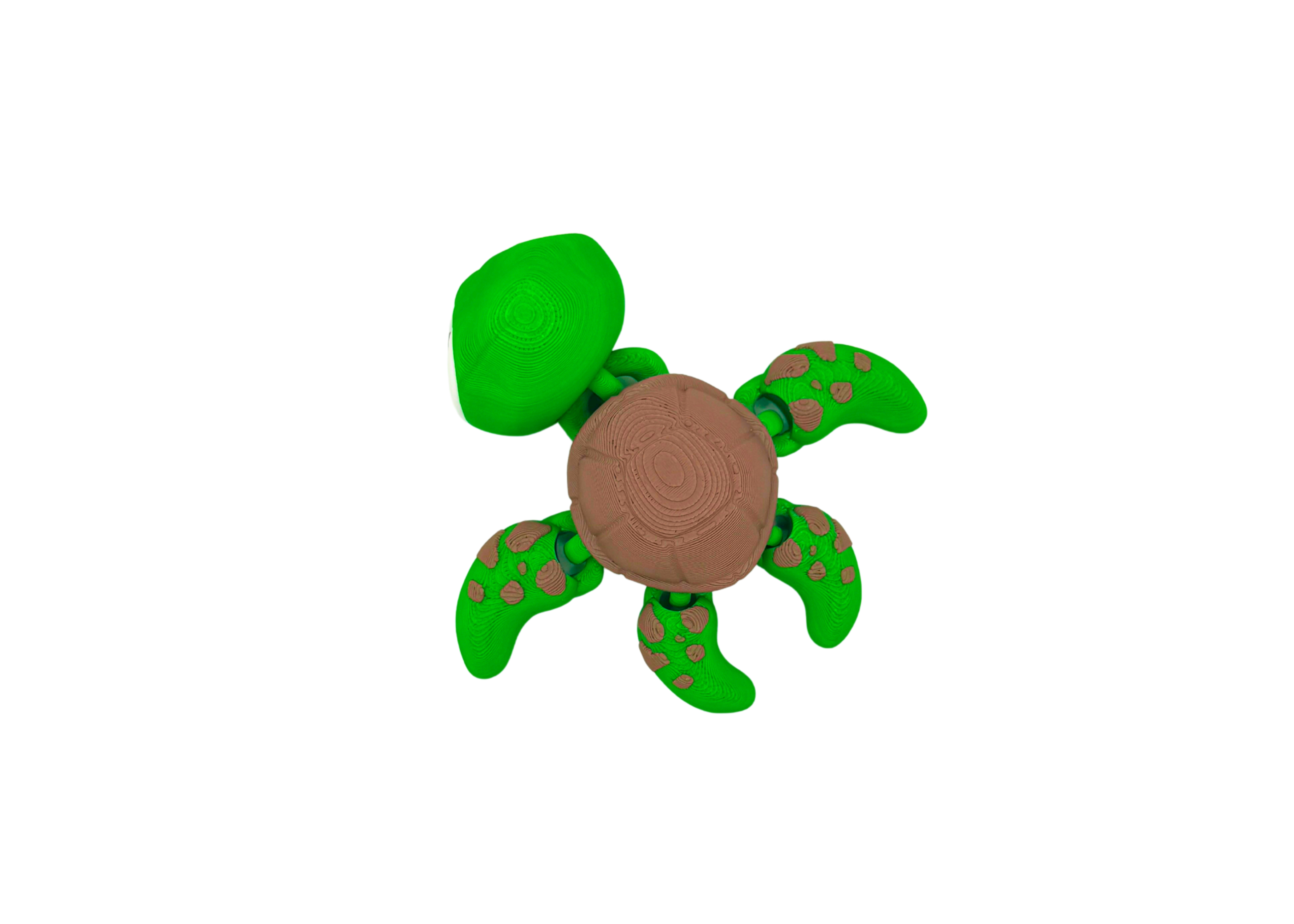 Turtle Flexi