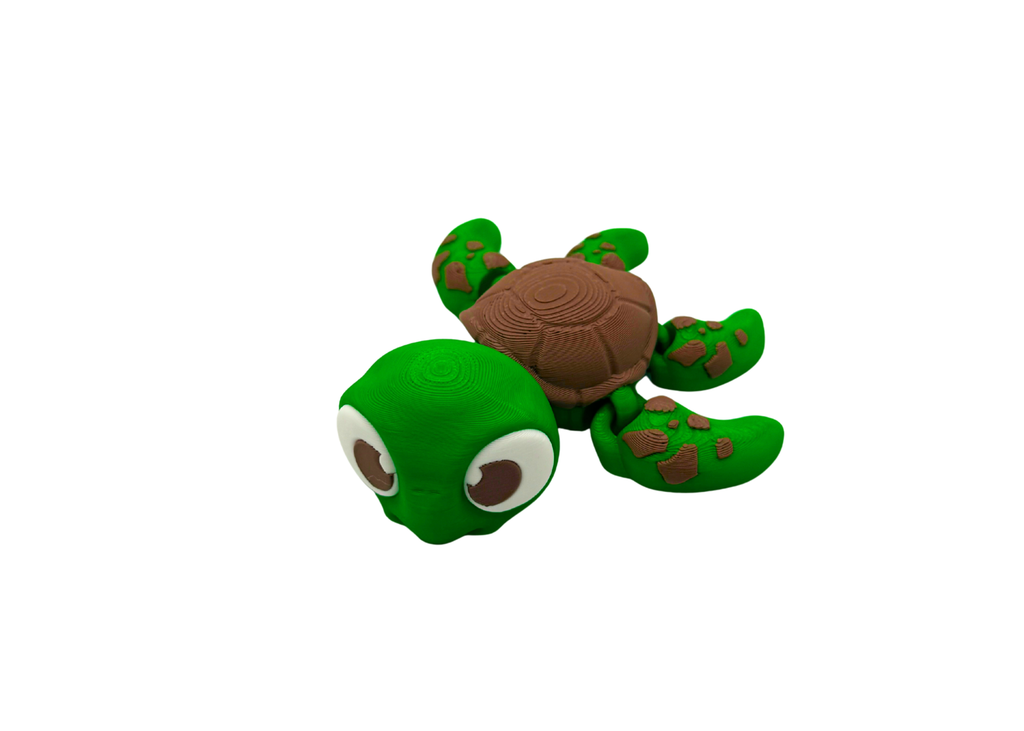 Turtle Flexi