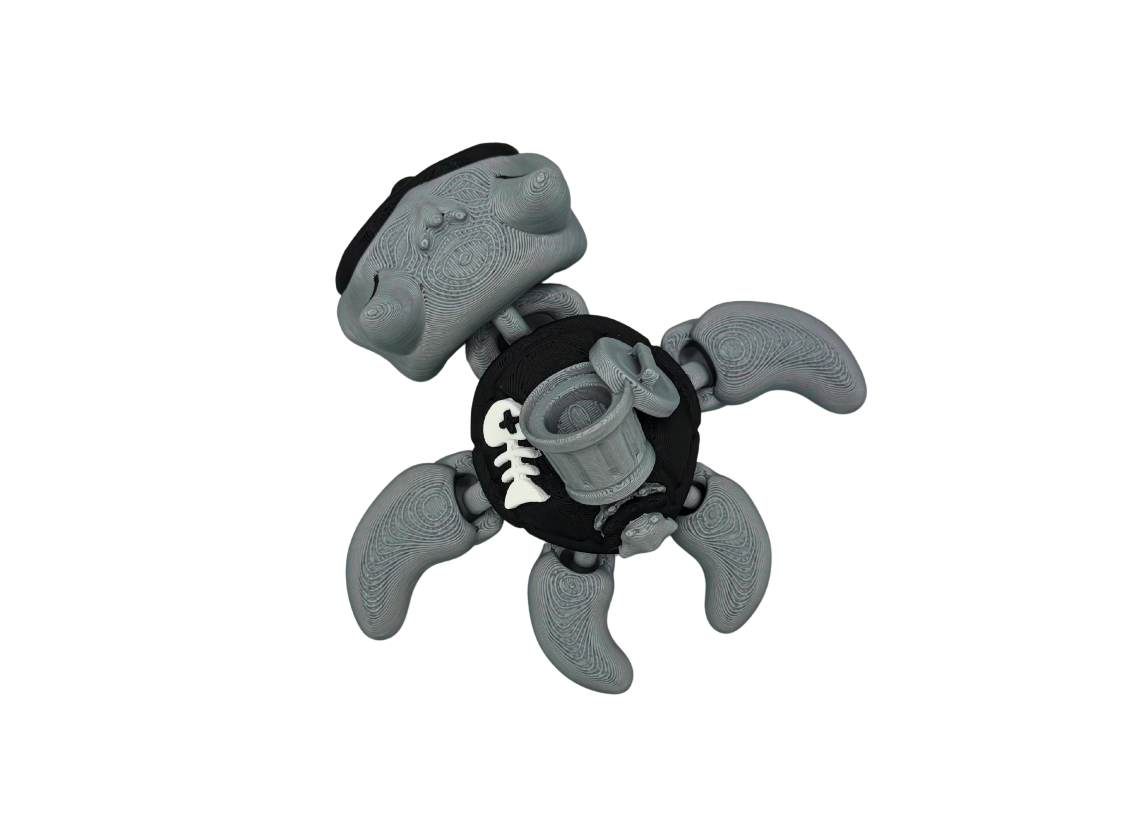 Raccoon Turtle Flexi