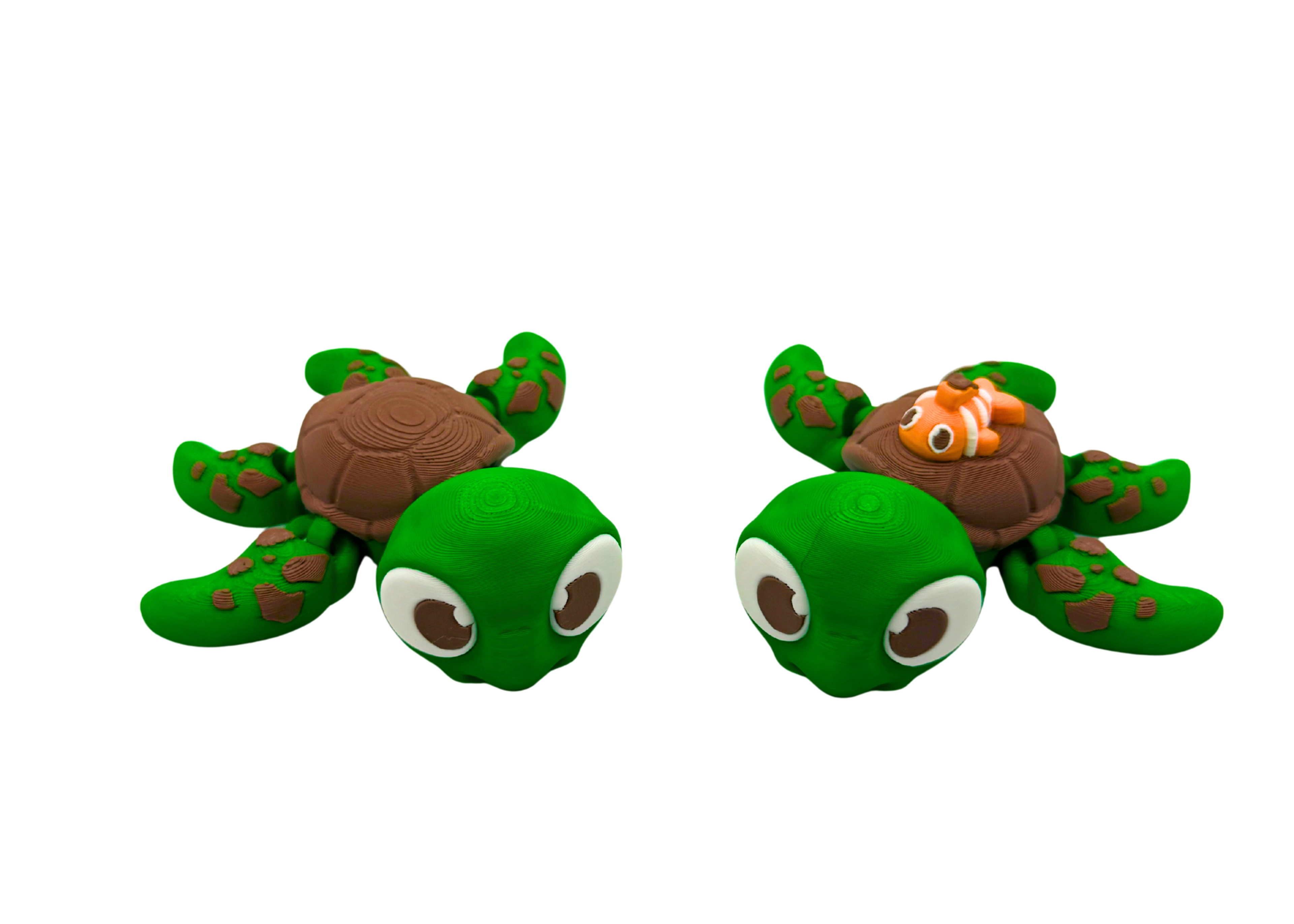 Turtle Flexi